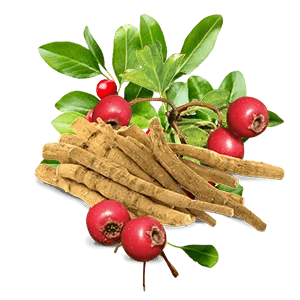 Is Ashwagandha Safe for Daily Use? Benefits and Tips