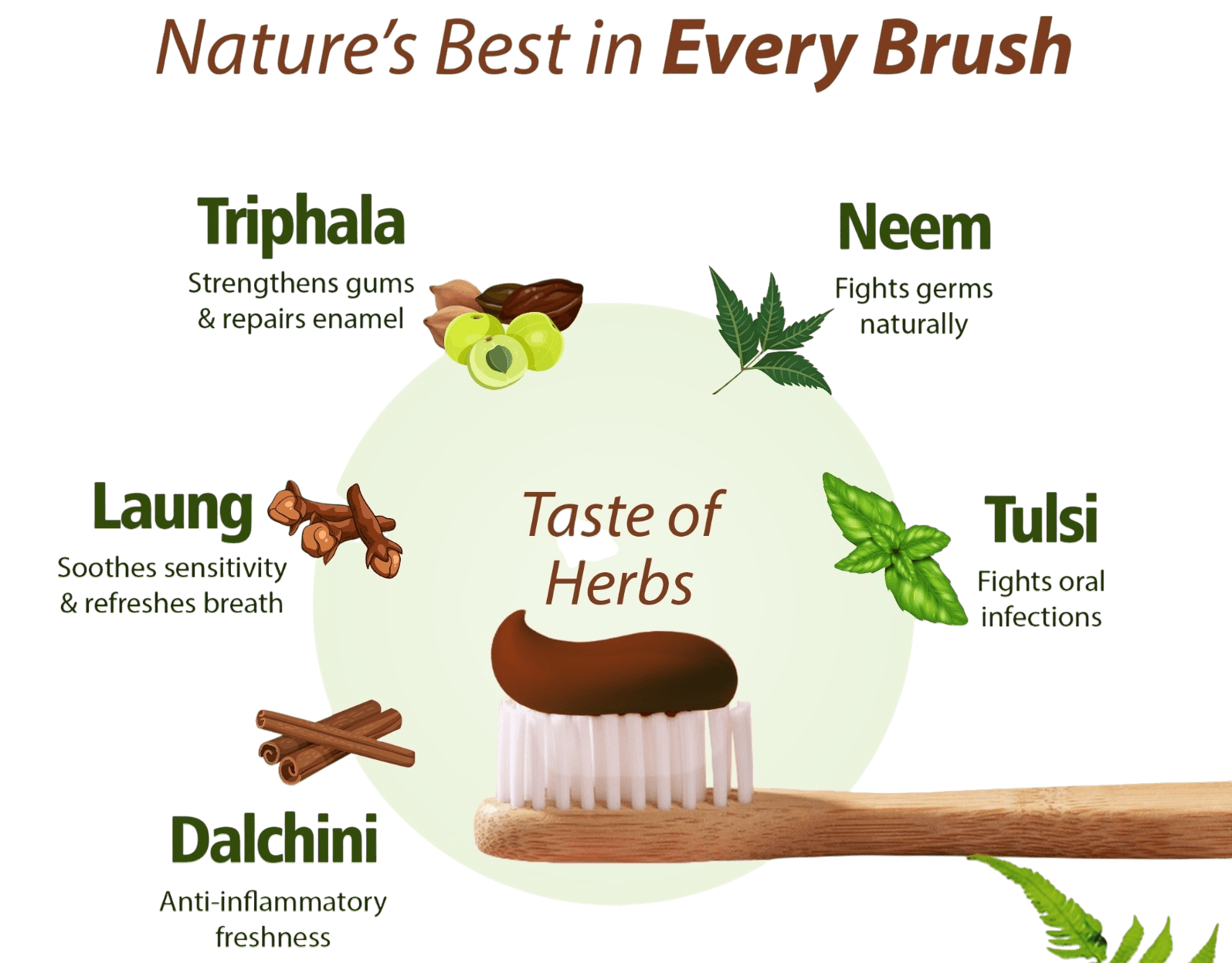 Kids & Ayurvedic Toothpaste: Safe, Effective Oral Care