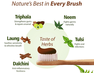 Kids & Ayurvedic Toothpaste: Safe, Effective Oral Care