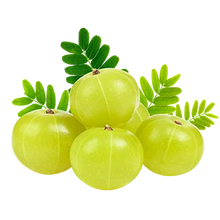 Amla Powder