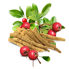 Ashwagandha Extract