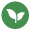 Organic Green Teas