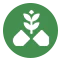 Herbal Extract Based Capsules