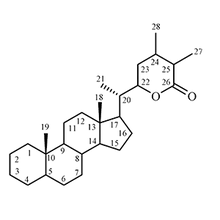 Steroidal Lactones