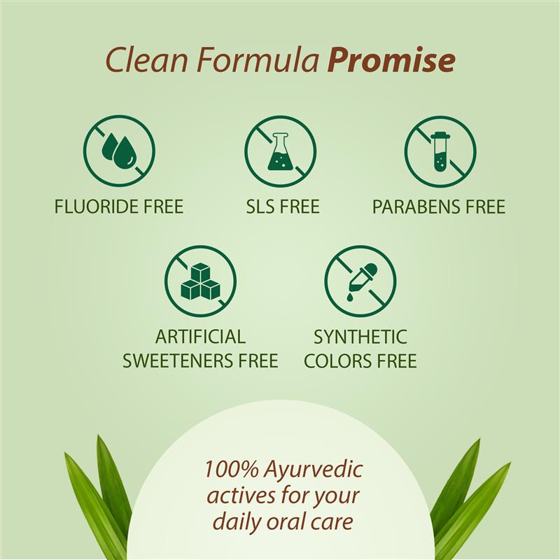 Triphala Toothpaste - SLS-Free