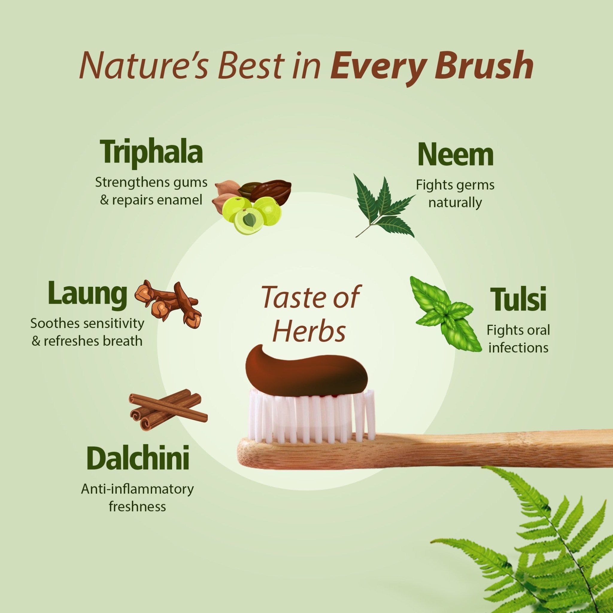 Triphala Toothpaste - SLS - Free - tickmyhealthHeathcareTickmyhealthPack of 1Triphala Toothpaste - SLS - Free